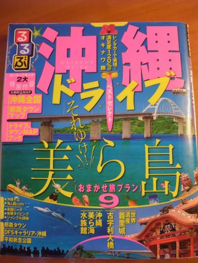 【沖縄旅行記・前編】凍えない冬に空の生物と戯れたり