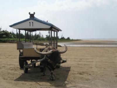 沖縄離島（八重山４島）　その４～竹富島・由布島編～　２０１０年２月