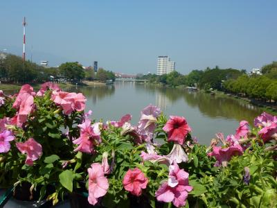 タイ・チェンマイ　ルーシーダットンの旅　６日目～