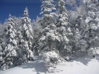 雪国を目指して　高山へ☆　新穂高ロープウェー＆高山編　　 