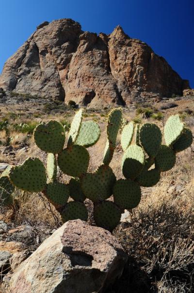 Tucson Trip #４（Rockhound State Park)