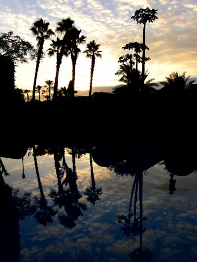 ★エジプト（Ｅｇｙｐｔ）＆トルコ（Turkey）周遊記’２０１０・②