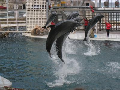 ようこそ！兵庫県の日本海側！その３