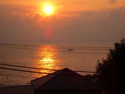 ２月の三浦半島めぐり★２日目その１