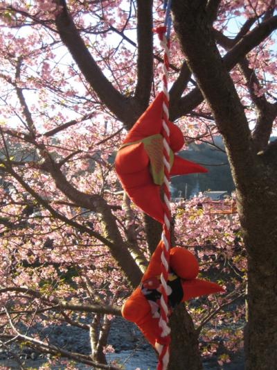 心の安らぎ旅行（河津ざくらと雛のつるし飾りまつり）