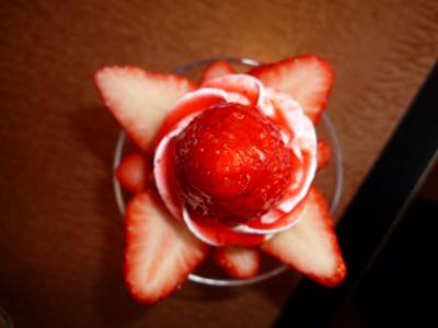 リベンジ　河津桜祭り