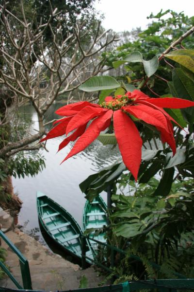 ネパール旅行③　のどかなリゾート、ポカラの町