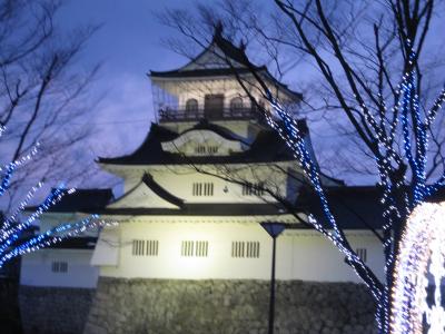 日本酒に溺れる富山