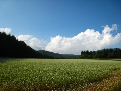 パワースポット戸隠～戸隠忍者村・そば畑・戸隠神社・鏡池～