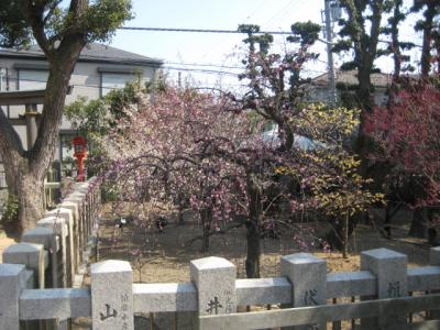 梅の咲く網敷天満宮