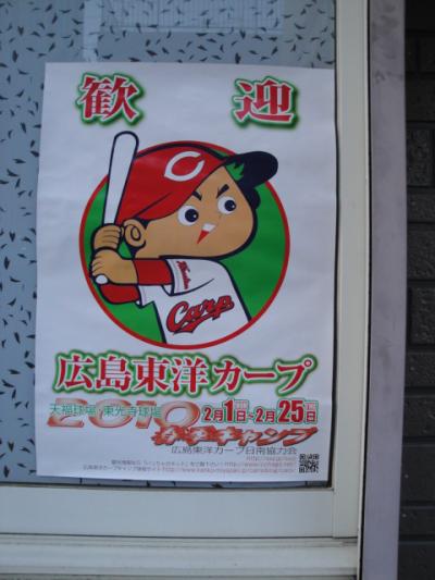 プロ野球キャンプ　広島カ-プ　（その2）