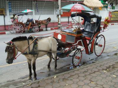 2009年　タイ北部の旅・４　ランパーン