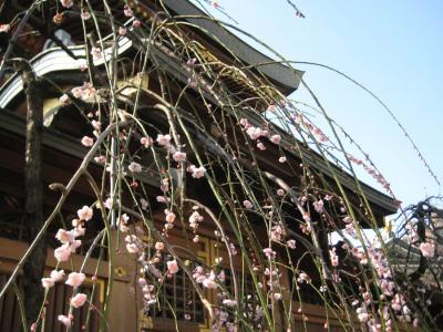 東京都文京区・千代田区（湯島天神・神田明神）　２０１０年２月