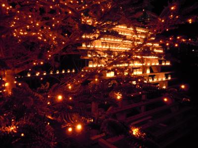 下呂温泉・高山・白川郷・奥飛騨旅行その１（下呂温泉編）