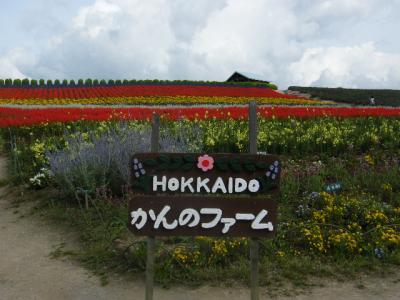 北海道夏紀行５－２（終）～富良野と美瑛の丘