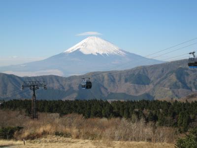 箱根　お気軽1泊2日旅