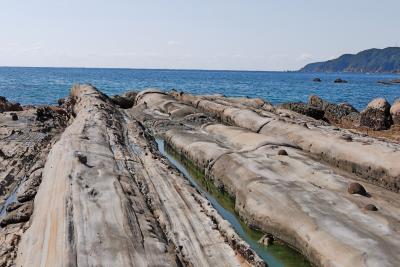 2010.2四万十・足摺旅行11（竜串海岸から中村へ）