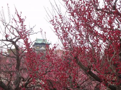 大阪~大阪城&梅園~