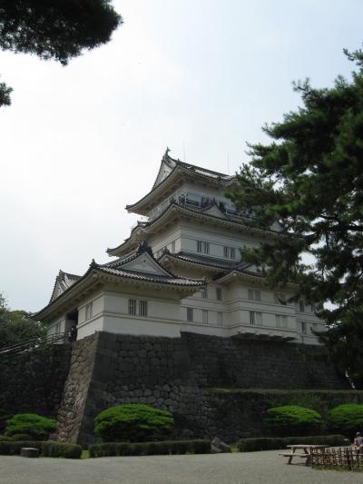 小田原旅行記(20080720-20080720)