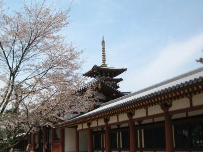 京都・奈良（桜巡り）　その４～薬師寺・唐招提寺・平城宮跡編～　２００８年４月 