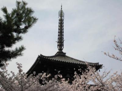 京都・奈良（桜巡り）　その５～法隆寺・法起寺・郡山城跡編～　２００８年４月 