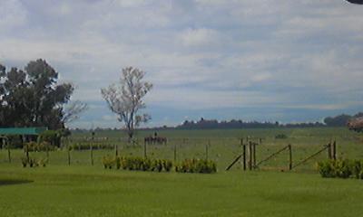 ガウチョツアー