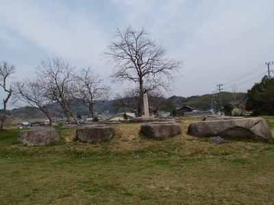 山城国分寺跡（恭仁宮跡）