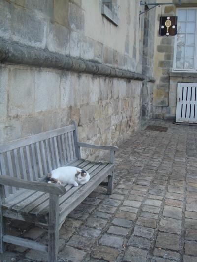 フランス旅行　2007　その１　～フォンテーヌブロー～