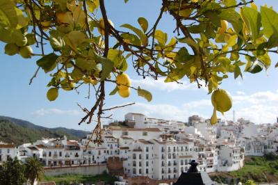 アンダルシアの青い空～スペイン・アンドラ・ジブラルタル～（１）