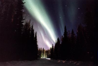 ALASKA（アラスカ）オーロラ夜物語