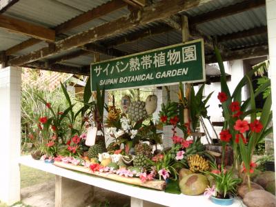 サイパン　熱帯植物園
