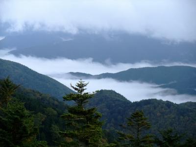 長野シルバー旅行（２）　美ヶ原高原