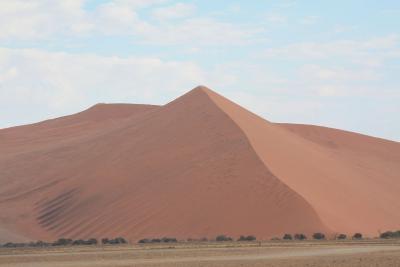 ナミビアで、ナミブ砂漠とウェルウィッチアドライブ