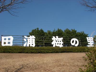 ポカポカ陽気に誘われて●田浦梅の里●2010