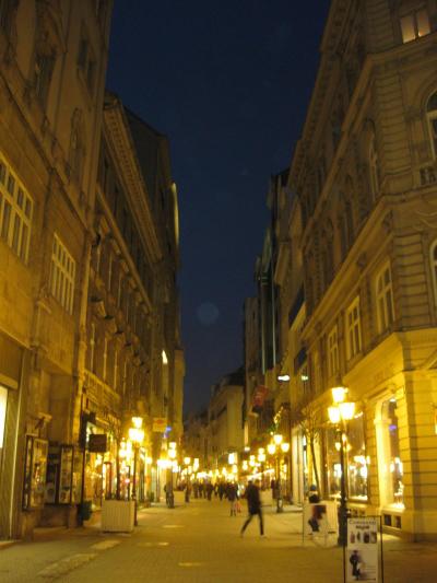 白銀の中欧４ヵ国周遊１０日間（３）。・＊★。・ブダペストの夜景編