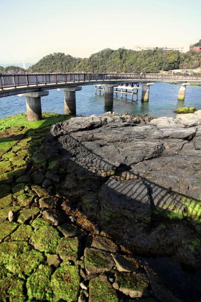 ひとり旅 ［688］ 早咲き‘河津桜’＆海上プロムナード（笠戸島海上遊歩道）＜笠戸島＞山口県下松市