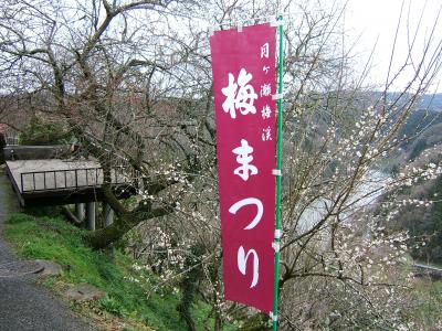 ちょっとお出かけしました(その6）　月ヶ瀬梅園散策の巻