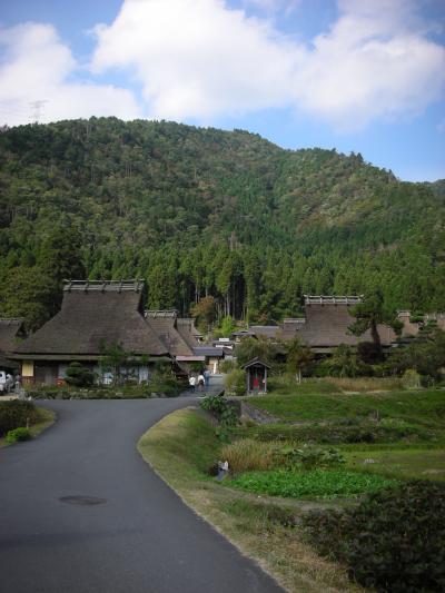 晩秋キャンプ　in　美山①