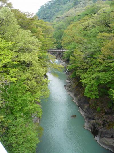 新緑の吾妻渓谷と雪の残る野反湖