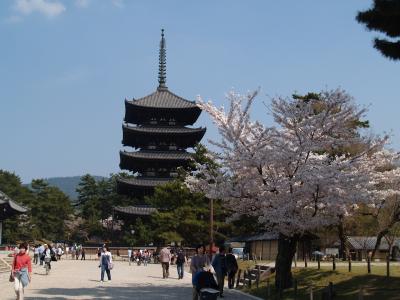 奈良興福寺－奈良公園界隈