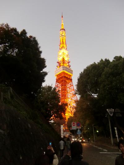 東京迷い猫2009。