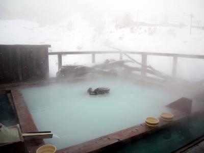 ふたたび万座　神産みたもう出湯でスキー