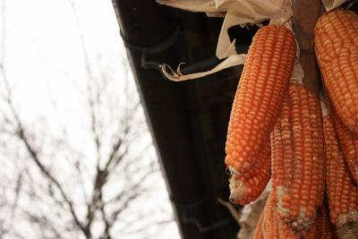 忍野八海(山梨県)を歩いてきました!(2010年3月)