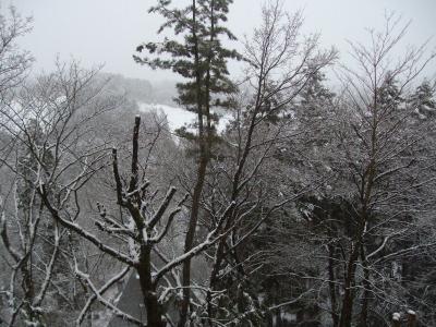 JOSANの家族旅行記　２０１０年3月　「御殿場冬の旅」　（２）