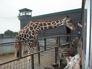 シルバーウィークは温泉でまったり★福島県土湯温泉へ行く