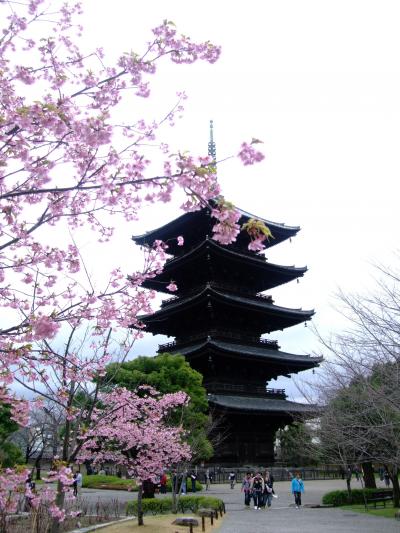 母娘旅①　春の京都へ