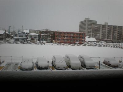 ３月のドカ雪（２）・・・東北・盛岡＜３月１０日＞