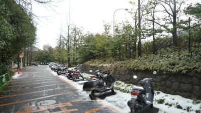 10年03月10日（水）、大学ウォッチング・首都大学東京の場合。