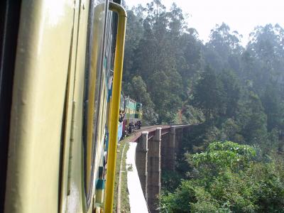 南インド４８：　「ニルギル山岳鉄道」に乗る 