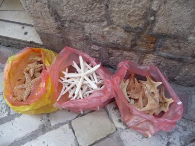 旧ユーゴスラヴィアの旅 コトル ②